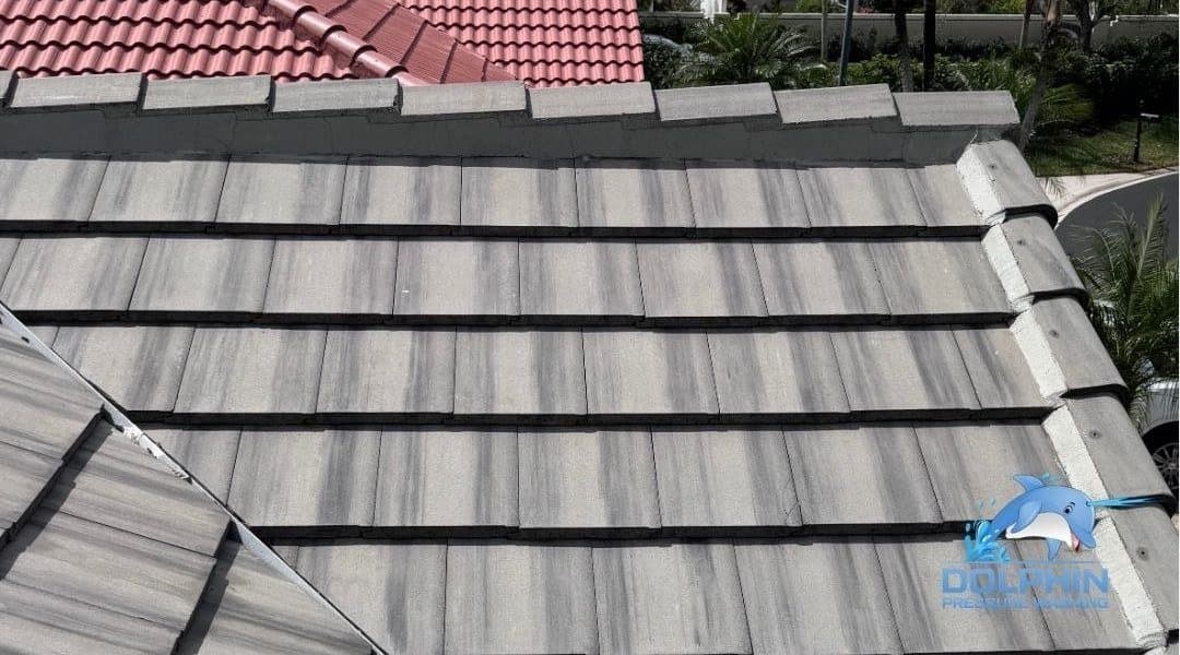 Before and after of a shingle roof with the black streaks removed, after