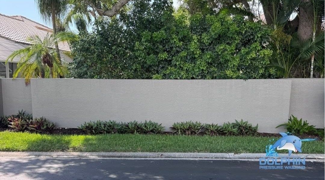 Before and after of a stucco perimeter wall soft washed in Naples, after