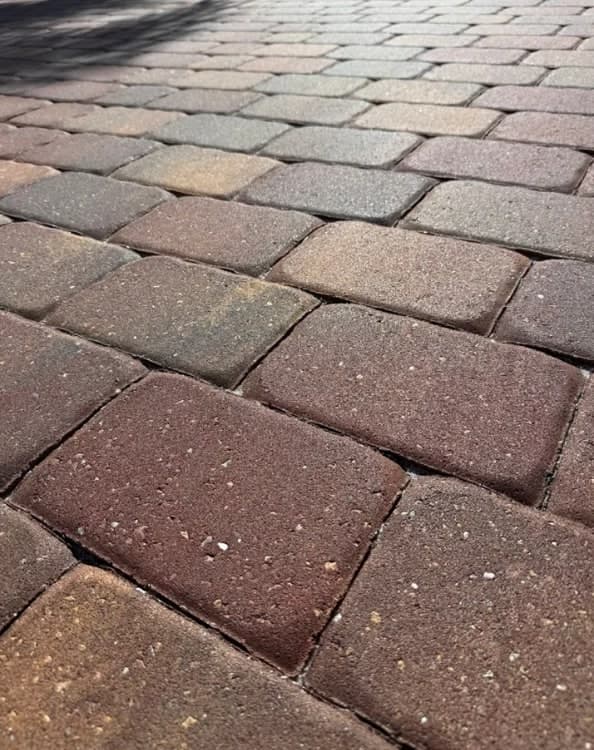 Close up of sealed brick pavers in Naples with the colour brought back and the joints tight