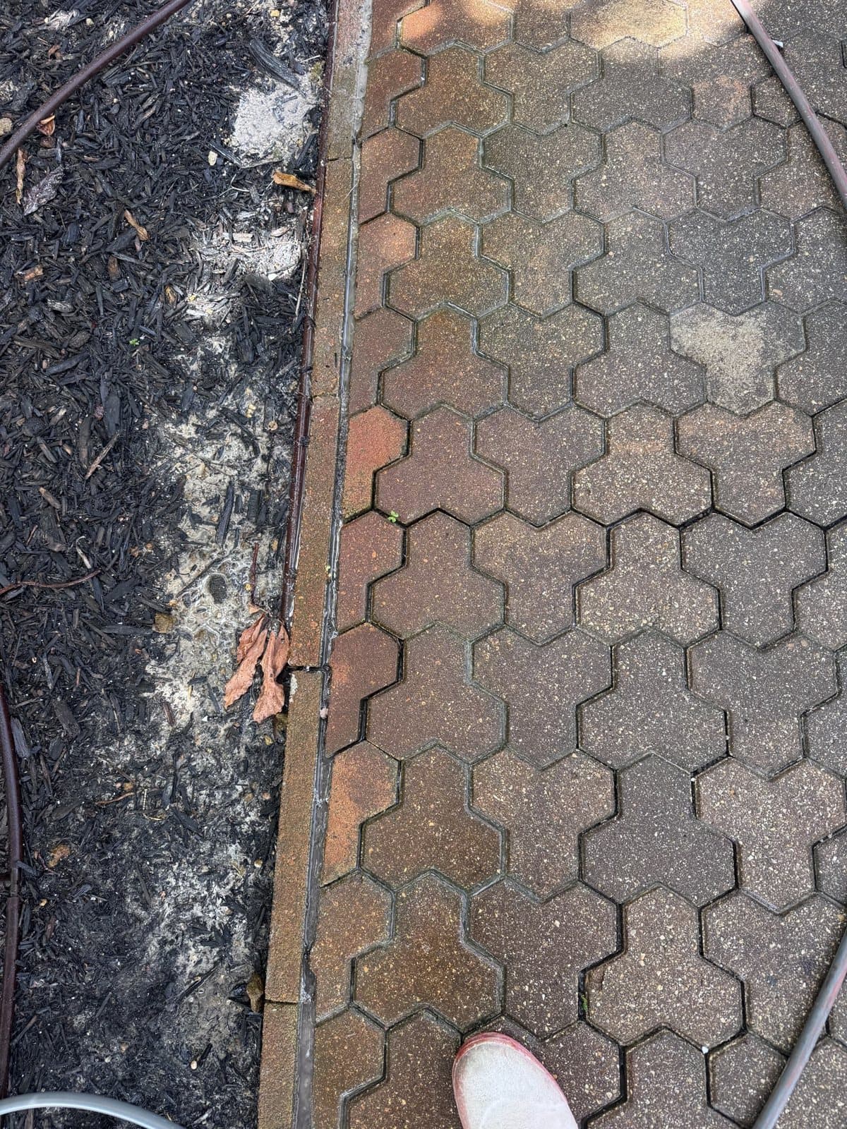 Hex paver walkway half pressure washed, dirty on the left, clean on the right