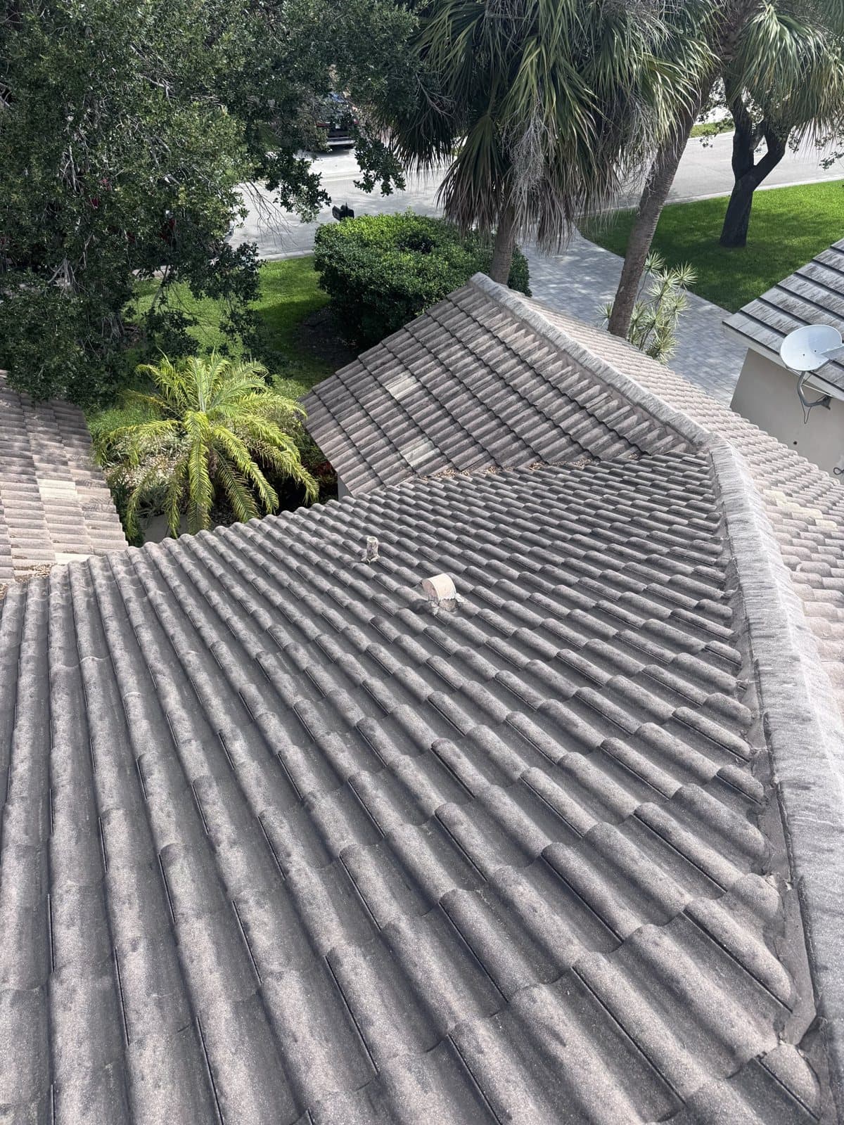 Grey algae covered flat tile roof in Naples before washing