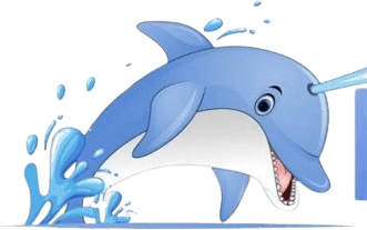 Dolphin Pressure Washing